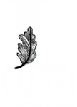 Lush Residences Logo